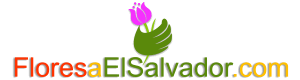 floresaelsalvador.com